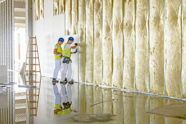 Best Pipe and Duct Insulation  in Broadmoor, CA